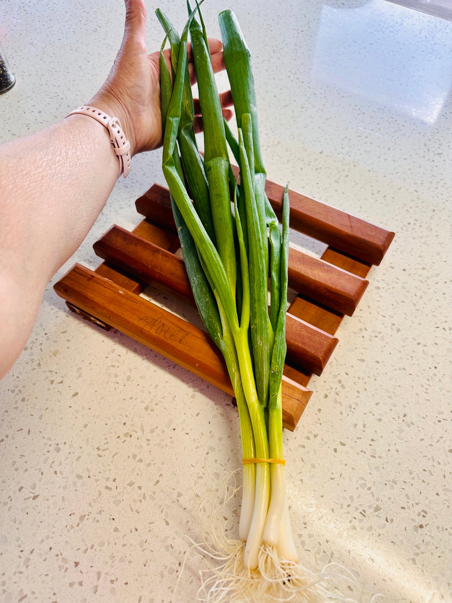 Spring Onions Large bunch