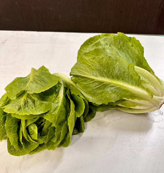 Lettuce – Baby Cos  Lovely and fresh from my grower (stays crisp)