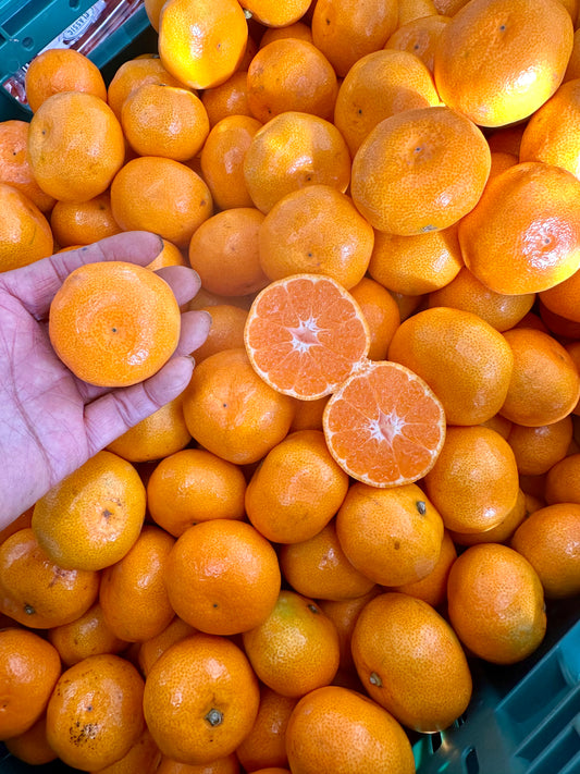 Mandarins - Keri Keri Satsuma *BEST CITRUS BUY*  $3.50  KILO