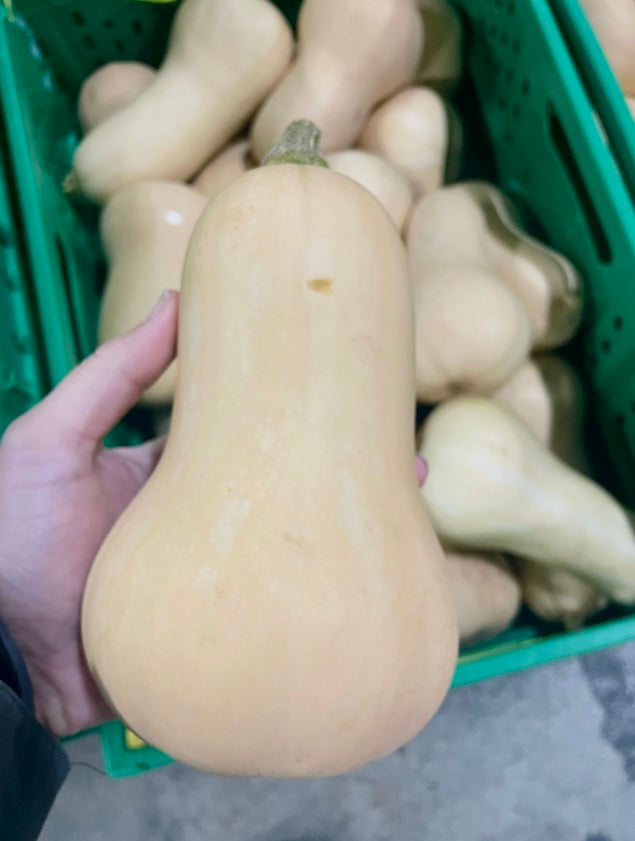 Butternut - medium