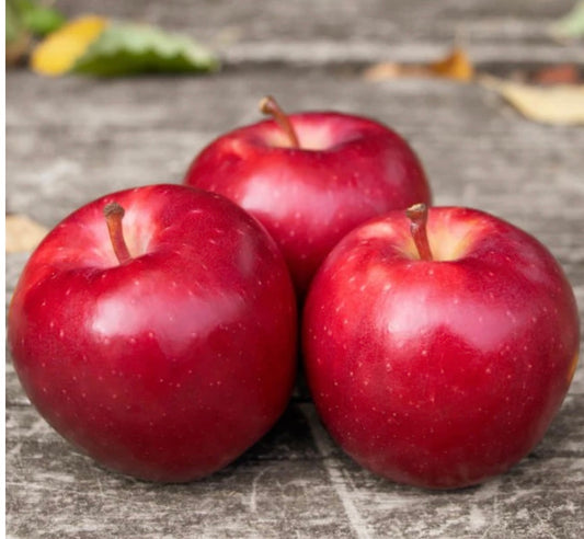 Dazzle Apples - *Best Buy $1.70 Kilo - sweet & juicy, delicious