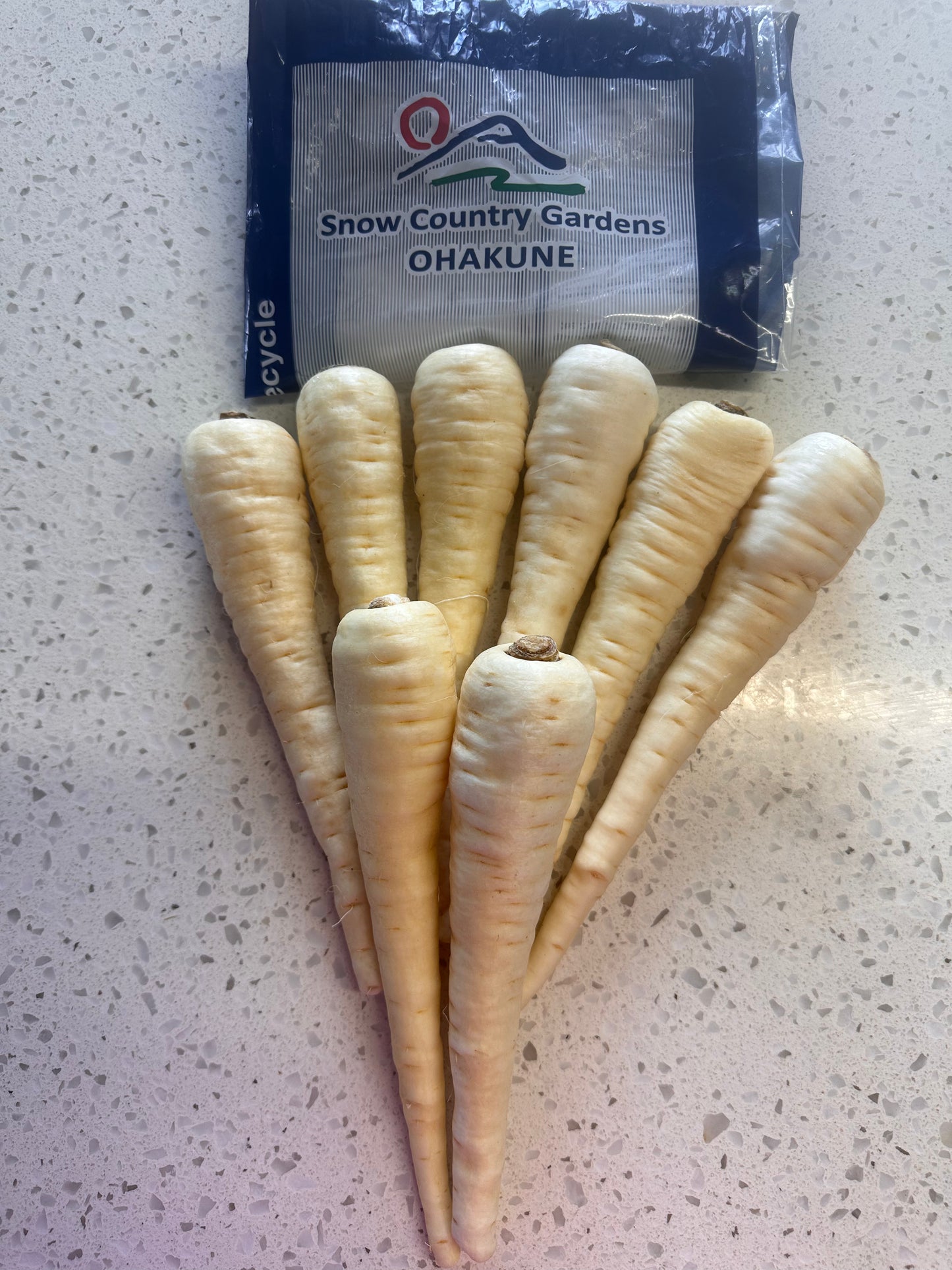 Parsnip – 1/2 kilo bags Ohakune" Snow Country Gardens "