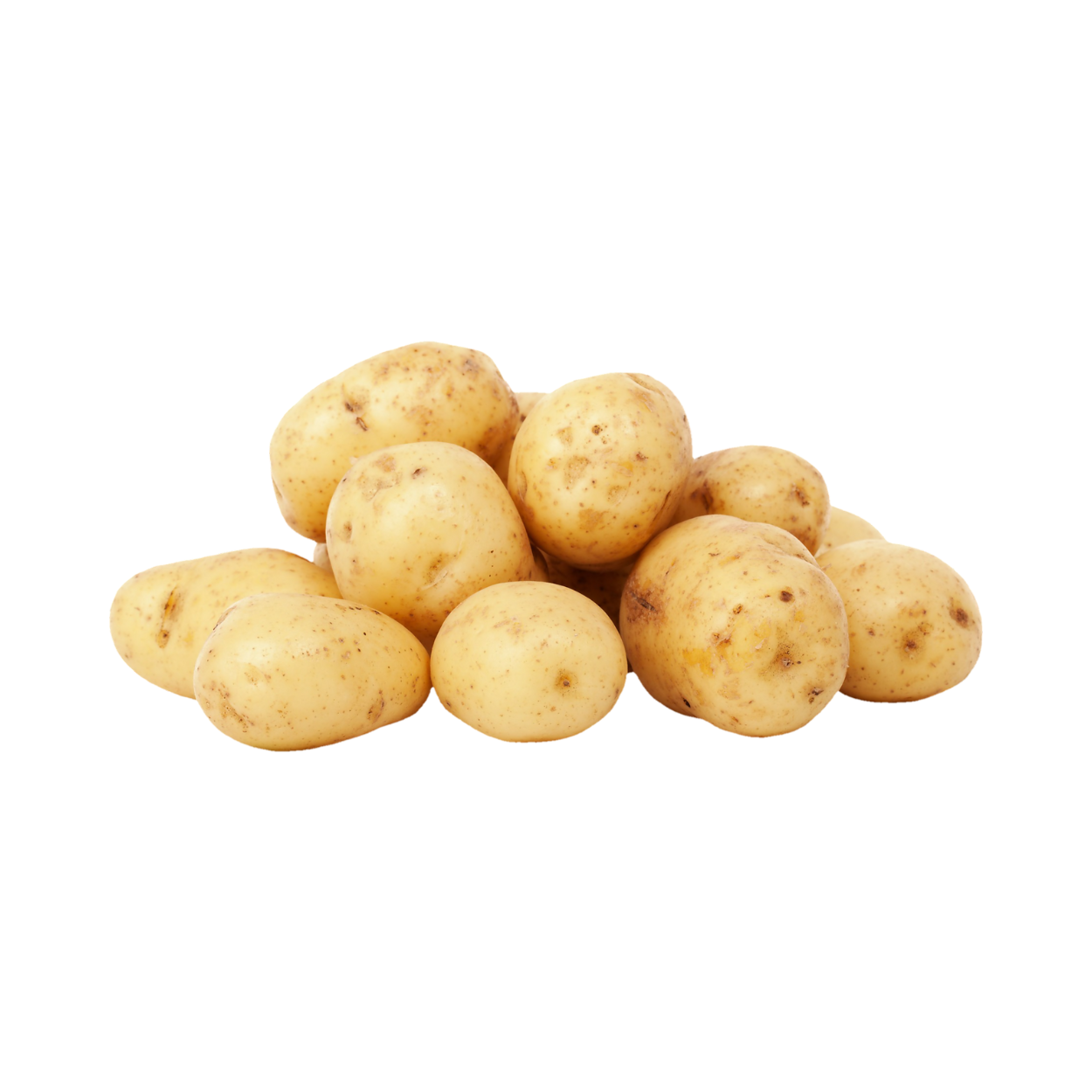 Potatoes - White Nadine washed GOURMET