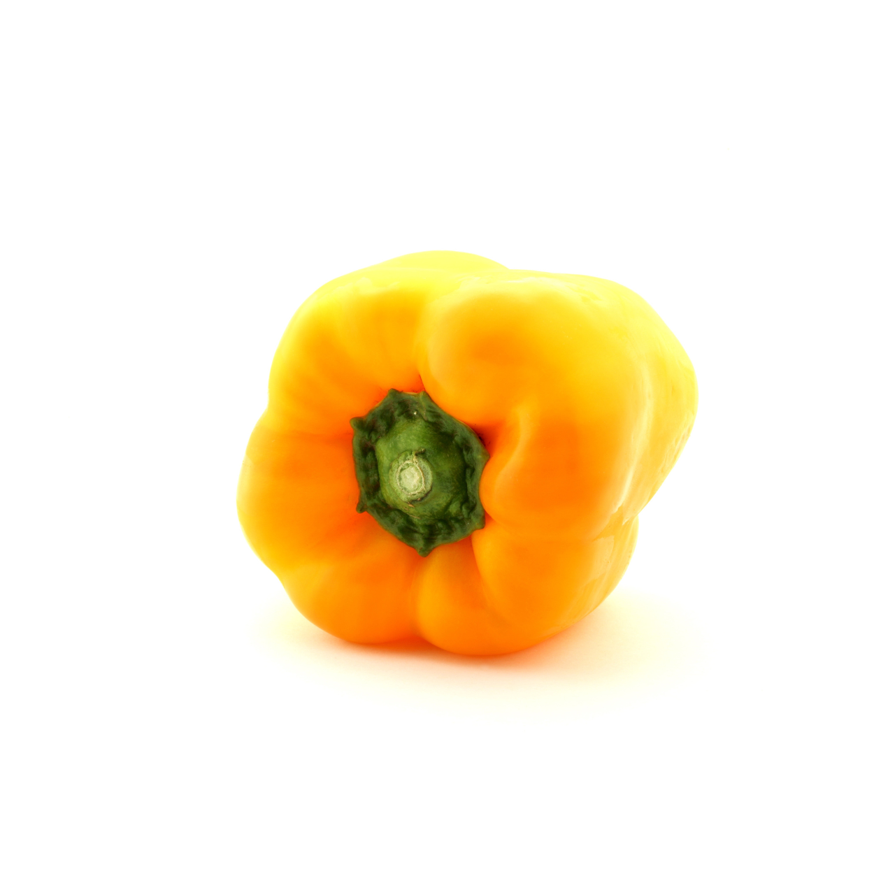 Capsicum – Yellow Extra Large