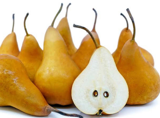 Pears- Beurre Bosc *Best Fruit Buy* KILO