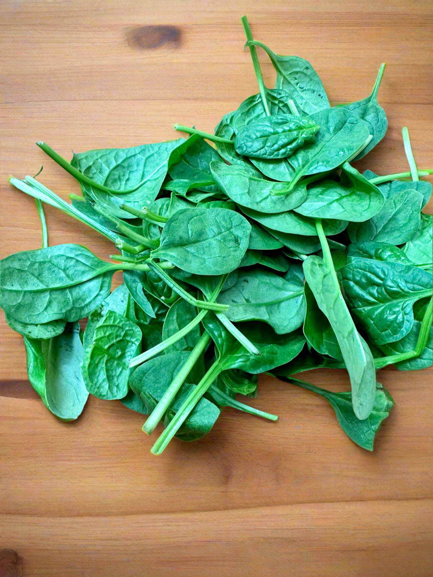 Spinach Baby Leaves 🍃