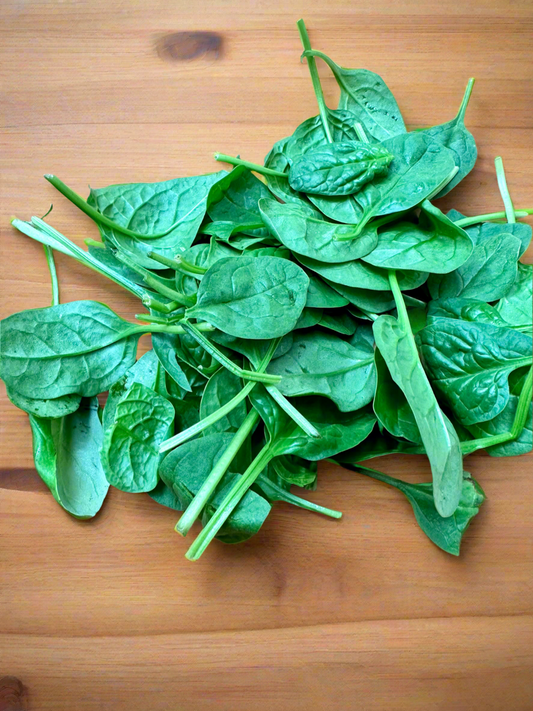 Spinach Baby Leaves 🍃