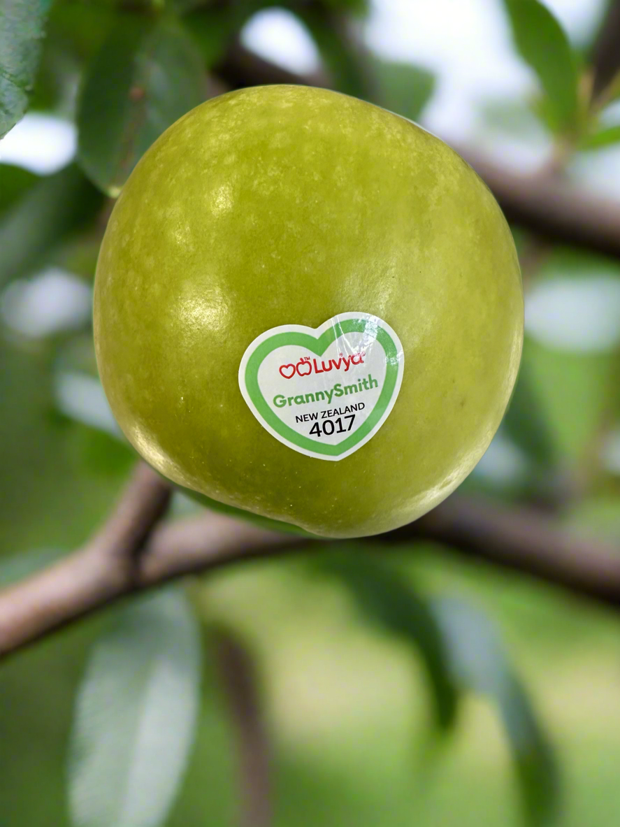 Apples - Granny Smith  H.B. @ kilo **Best Buy**