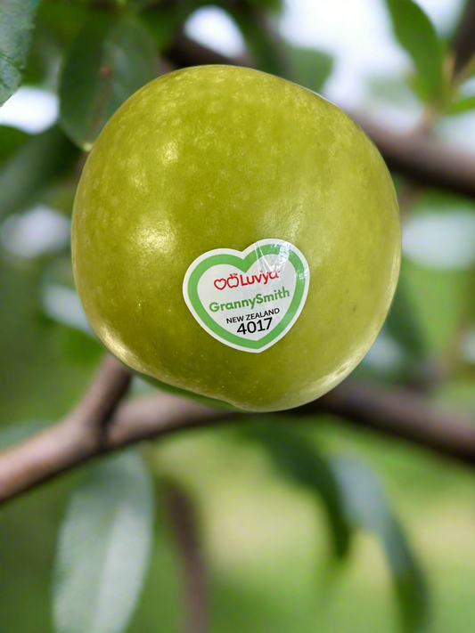 Apples - Granny Smith  H.B. @ kilo **Best Buy**