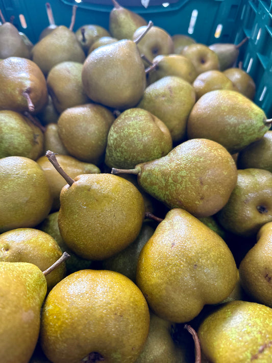 Pears- Winter Nellis *Best Fruit Buy* $3.80 Kilo