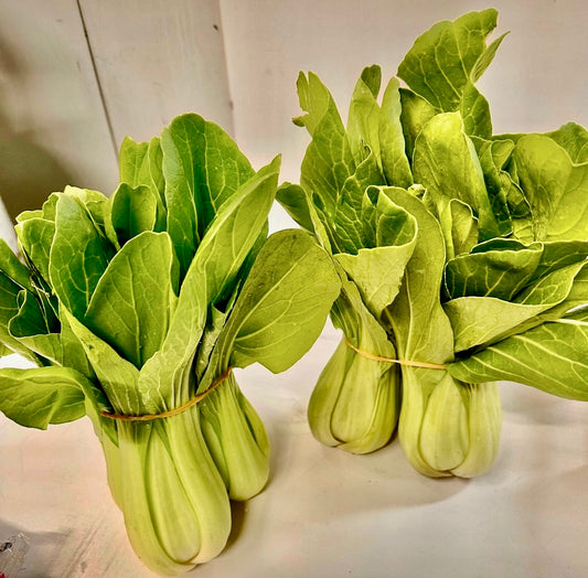 Shanghai  Bok Choy