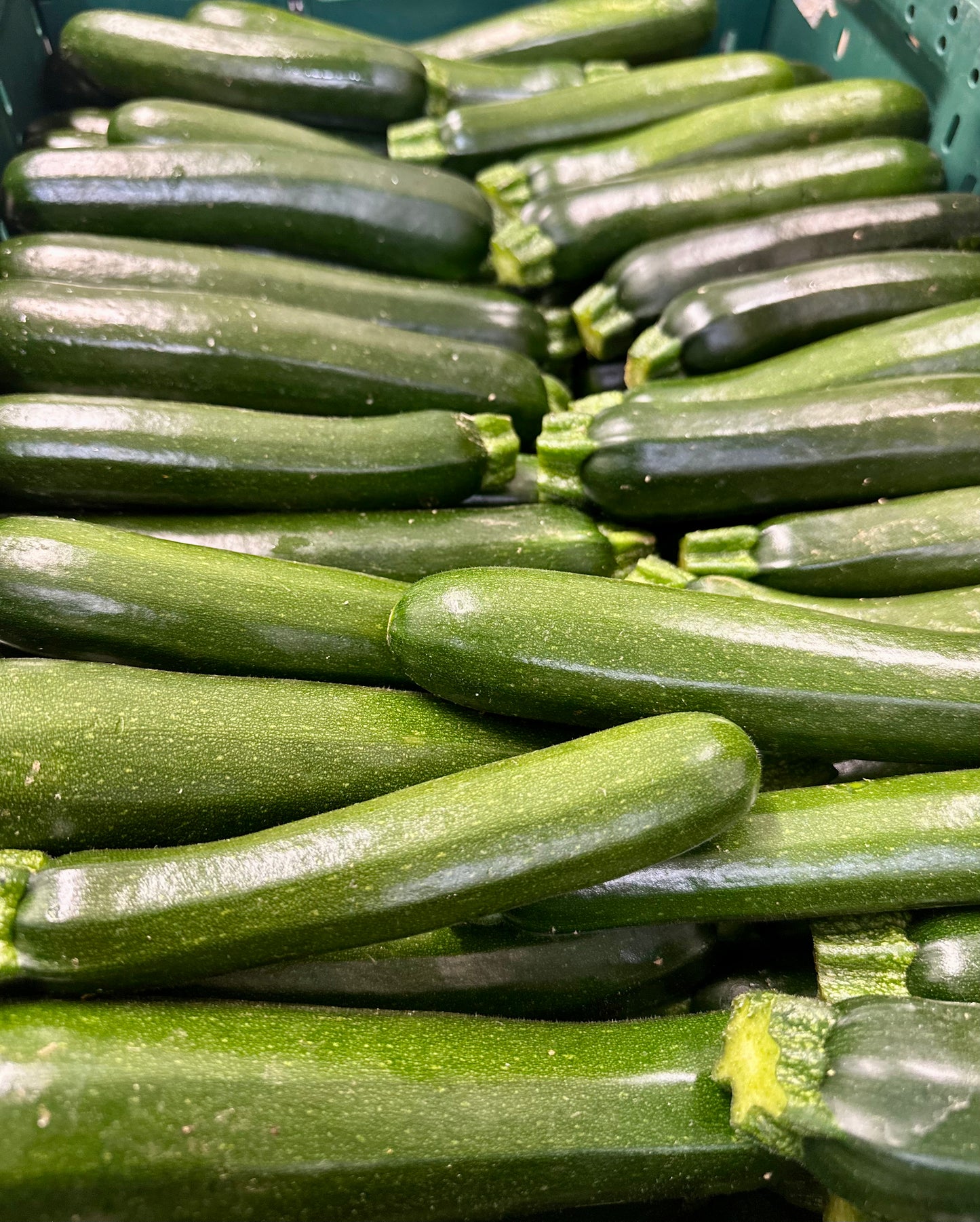 Courgettes   @ New Zealand $1.50 each