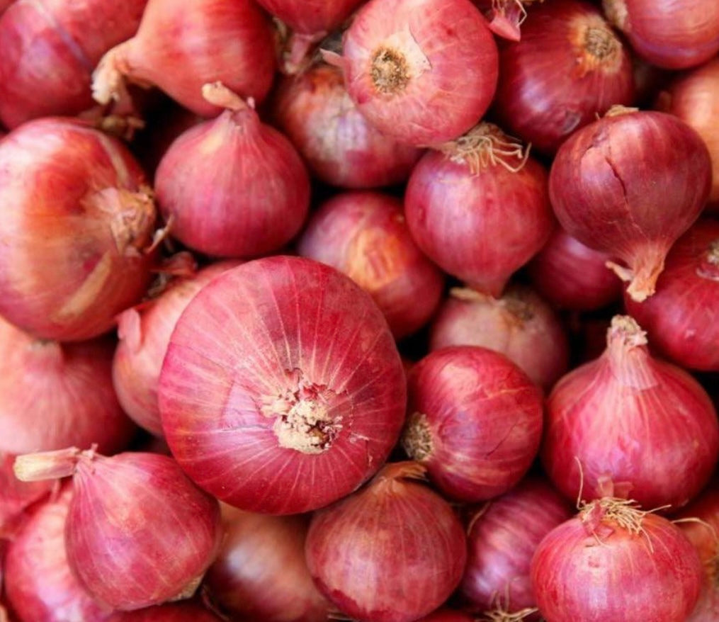 Onions – RED   N.Z.  * New Season * @ 1/2 kilo bag