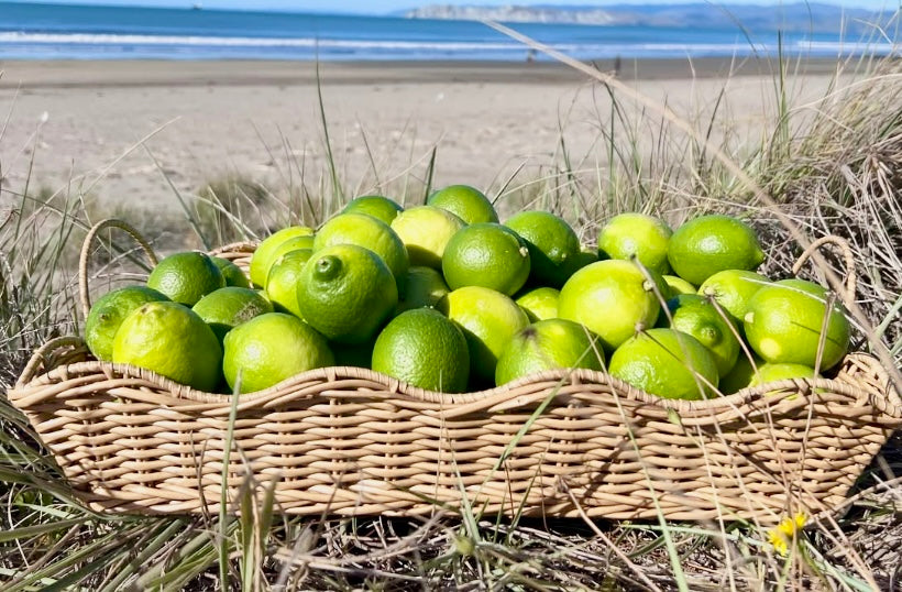 Limes Each
