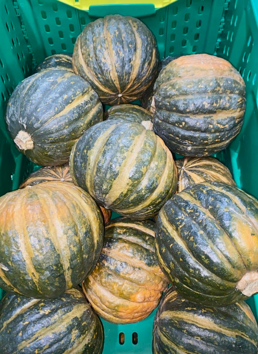 Buttercup Squash Each. Medium