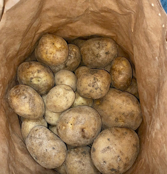 Potatoes – Moonlight  -White flesh @ Kilo