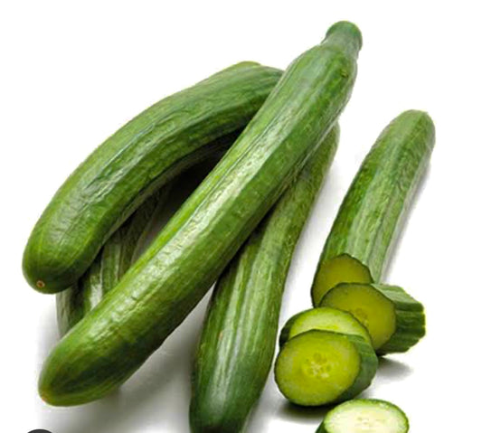 Tele  cucumber - Extra Large