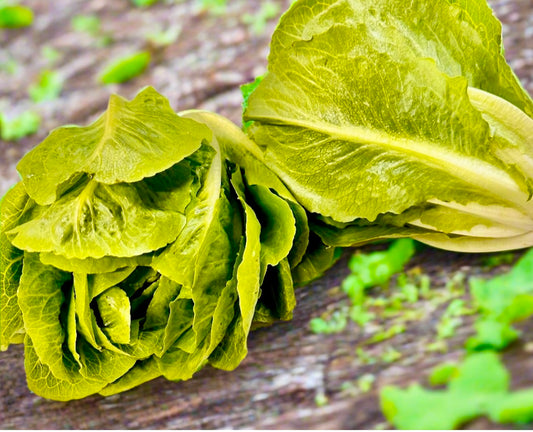 Lettuce - Baby Cos 2 for $3.80 small size