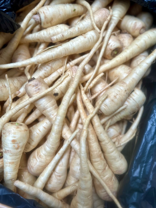 Parsnip @1/2-KILO