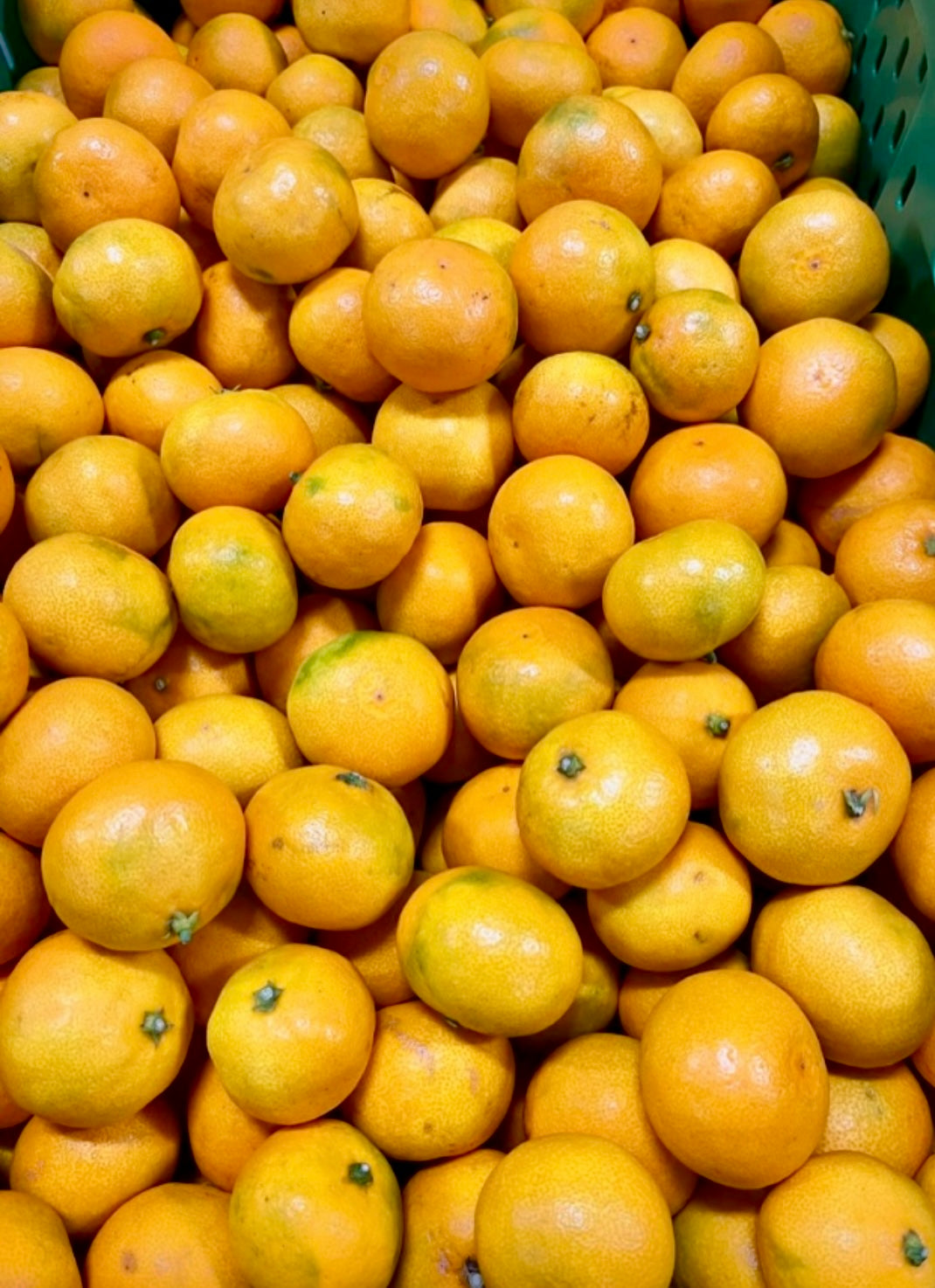 Mandarins - Keri Keri Satsuma