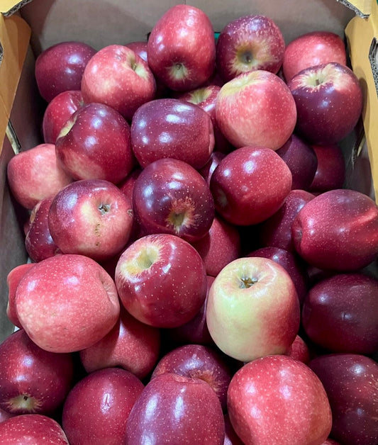 Pacific Queen **Best Buy**  $3.50 Kilo CRUNCHY As! Yummy New in