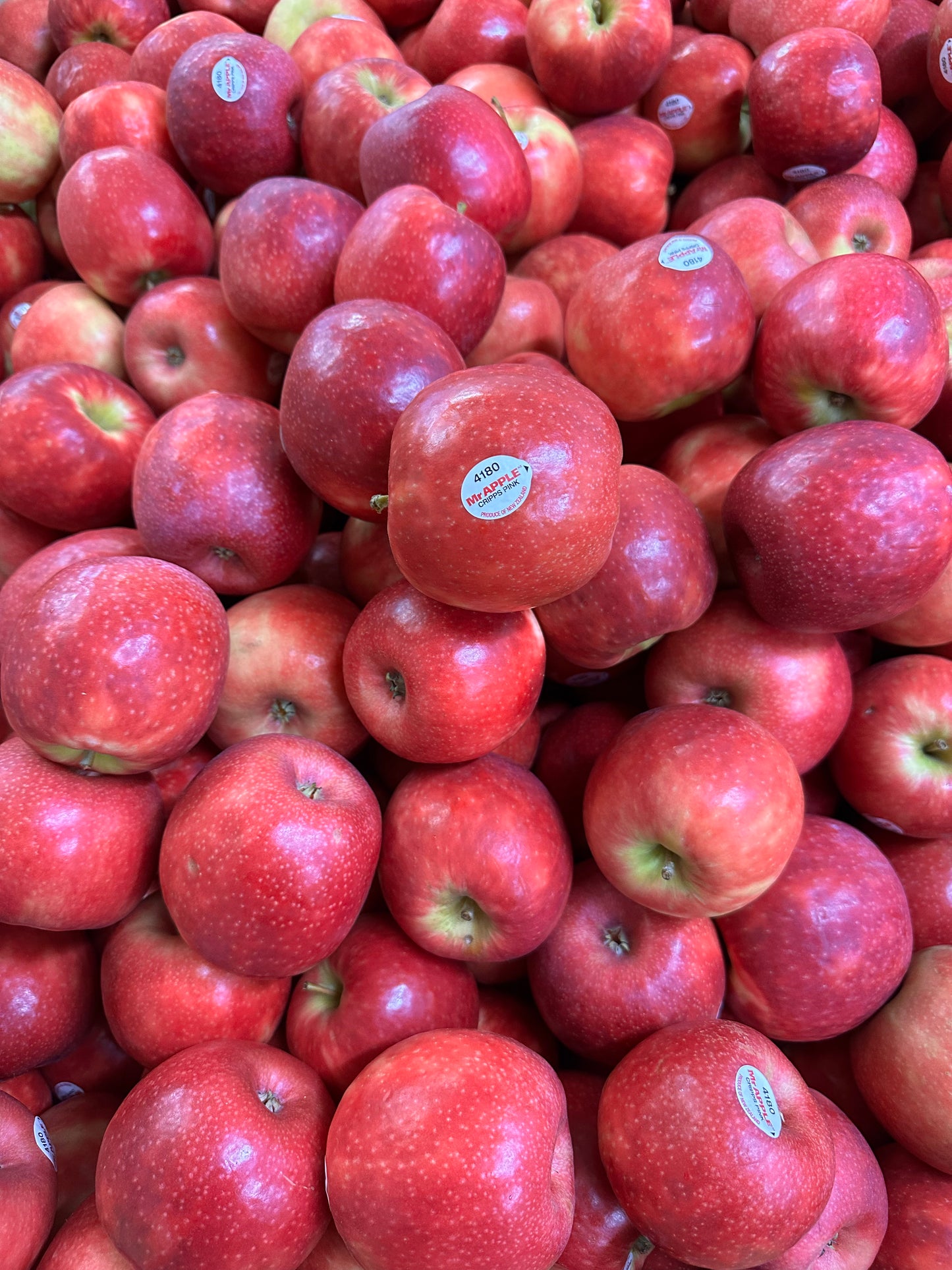 Pink Lady apples  *Best Buy* @ Kilo $1.50 premium  grade