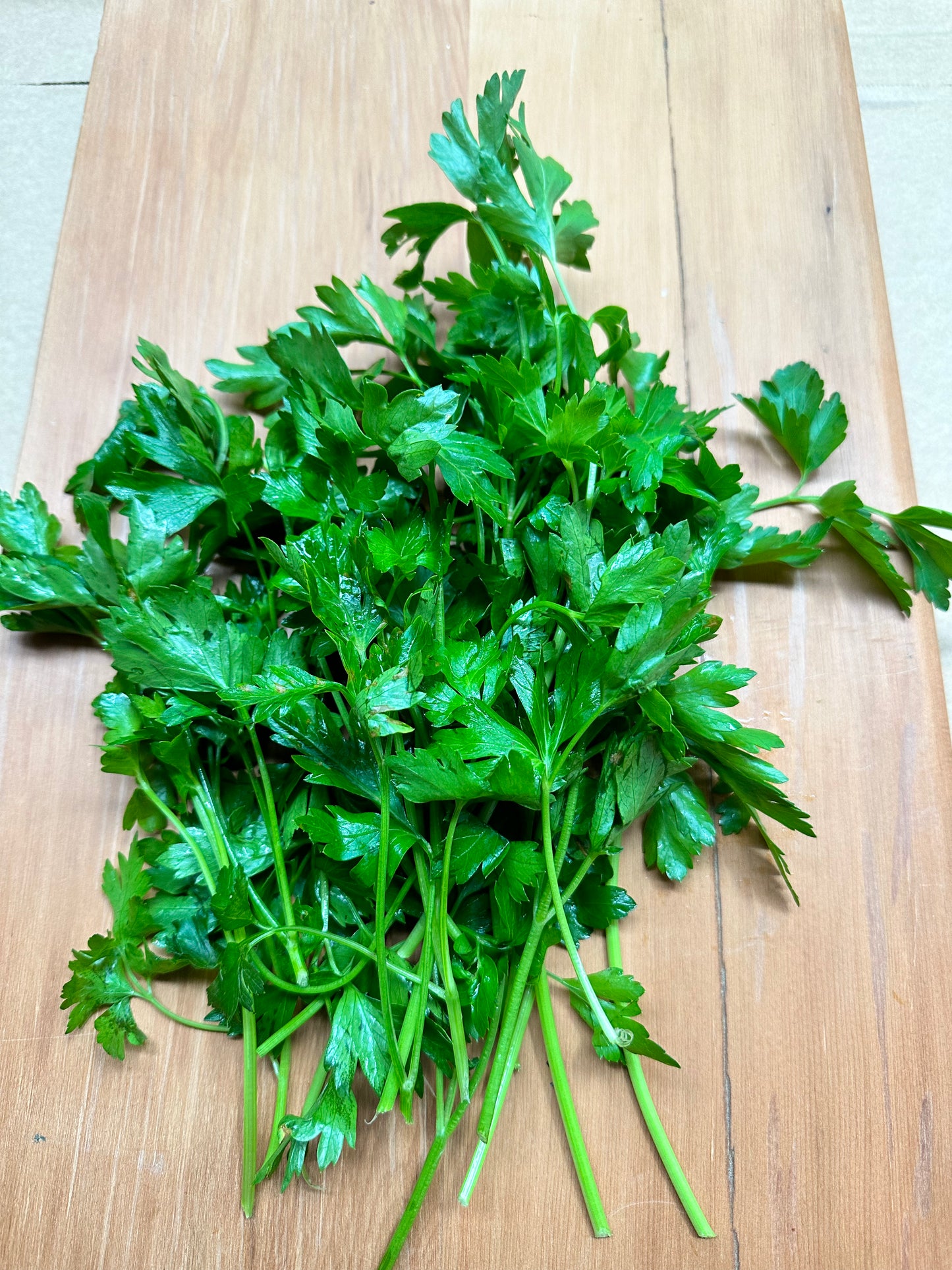 Parsley – Italian (Flat Leaf)   bag @. 50 gms