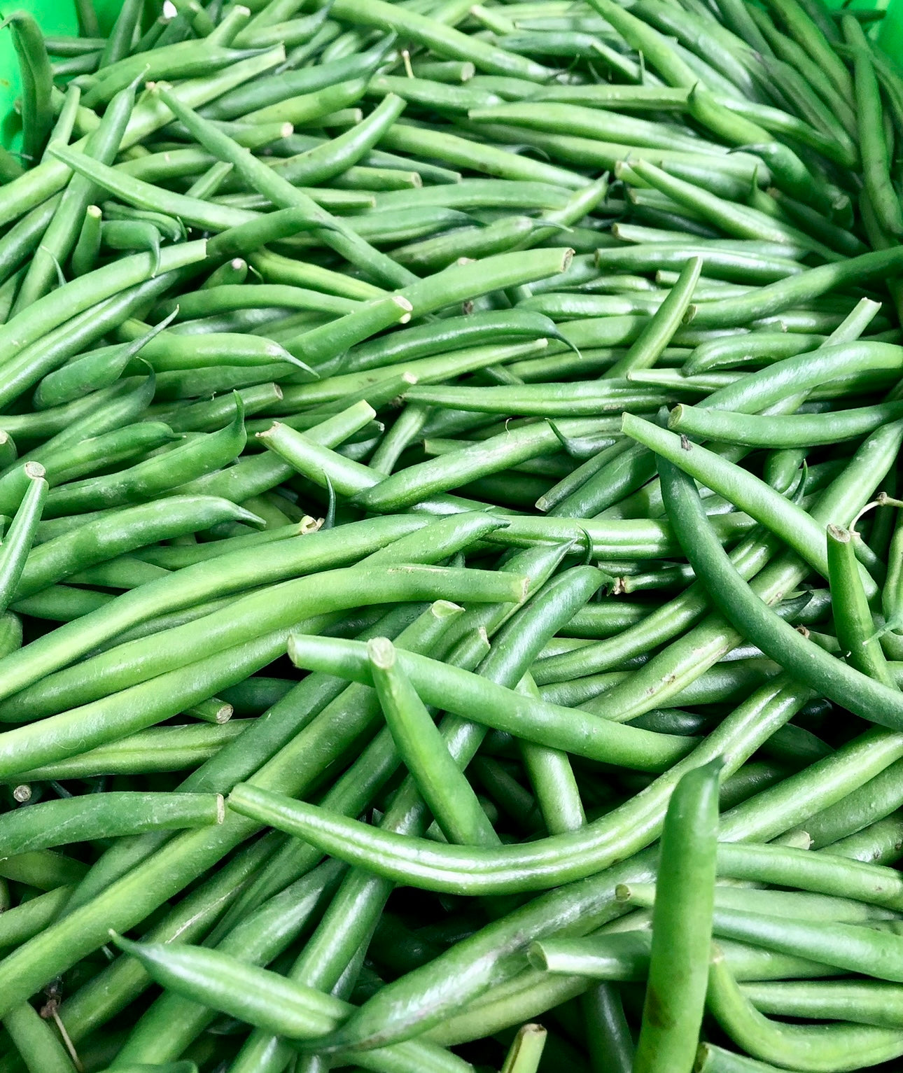 Beans - Best Veggie Buy $3.30 bag