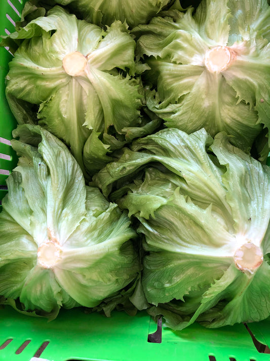 Lettuce - Iceberg , Lovely, Large