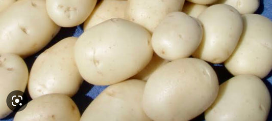 Potatoes – White Washed  GOURMET Nadine.  NEW SEASON