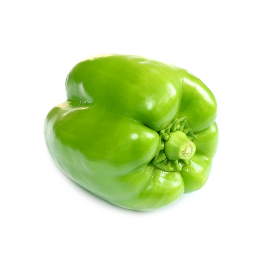 Capsicum-  Green Large