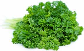 Parsley - Curly Leaf @ large bunch
