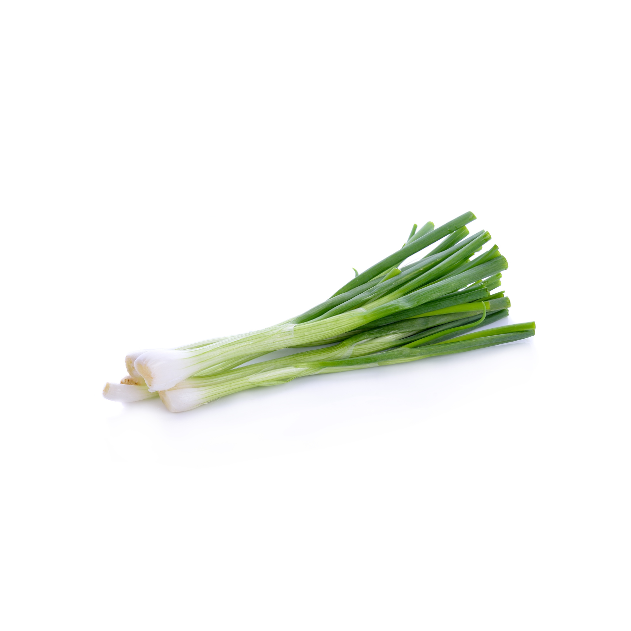 Spring Onions – Lovely & Fresh