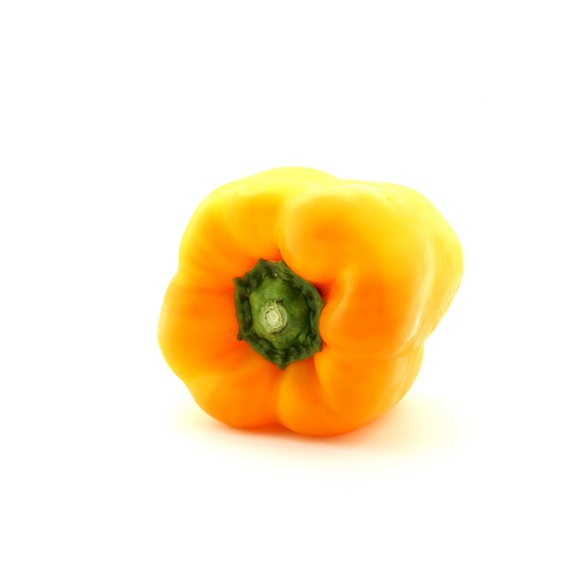 Capsicum – Yellow Large